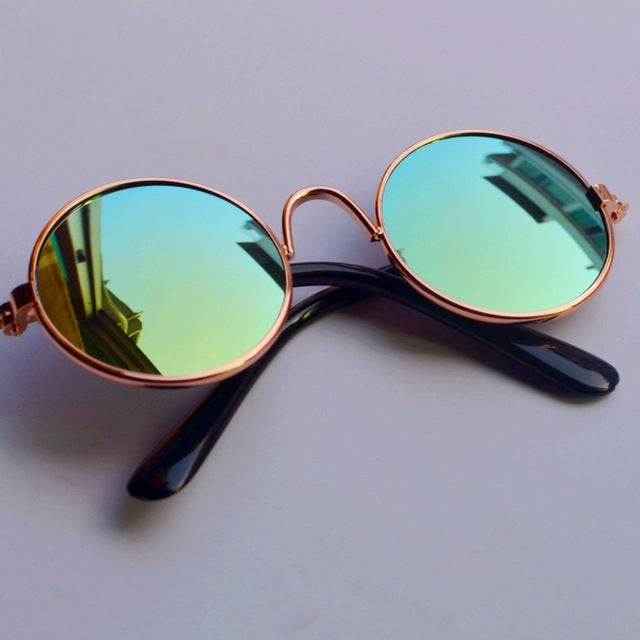PipiFren Dog Glasses Cat Small Dogs